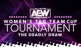 AEW Women's Ta Team Tournamet